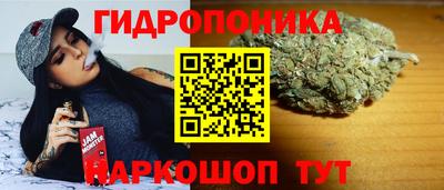 ECSTASY Донской