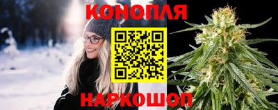 дмт Дубна