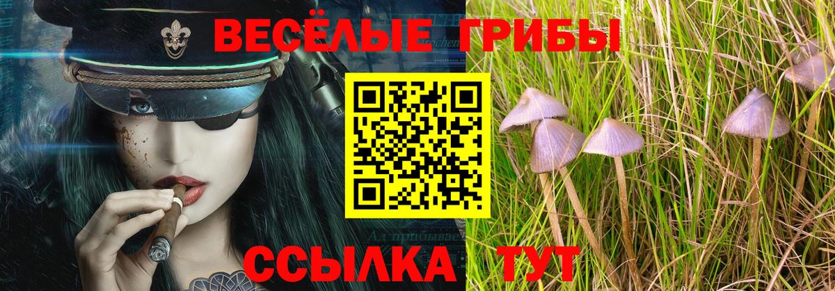 Галлюциногенные грибы Psilocybine cubensis Кубинка